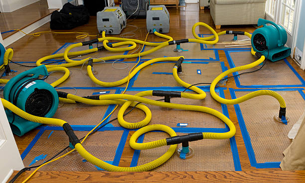 Professional Burst Pipe Water Damage technician working in Branchdale, PA